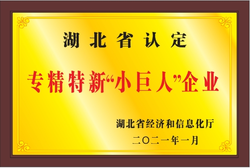 湖北省專(zhuān)精特新小巨人企業(yè)